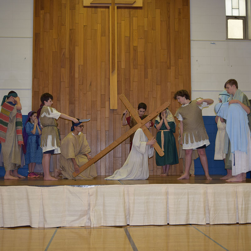 Our Lady Of The Wayside >> Our Lady Of The Wayside School Enriching Minds Fostering Faith Our Lady Of The Wayside >> Our Lady Of The Wayside School Enriching Minds Fostering Faith